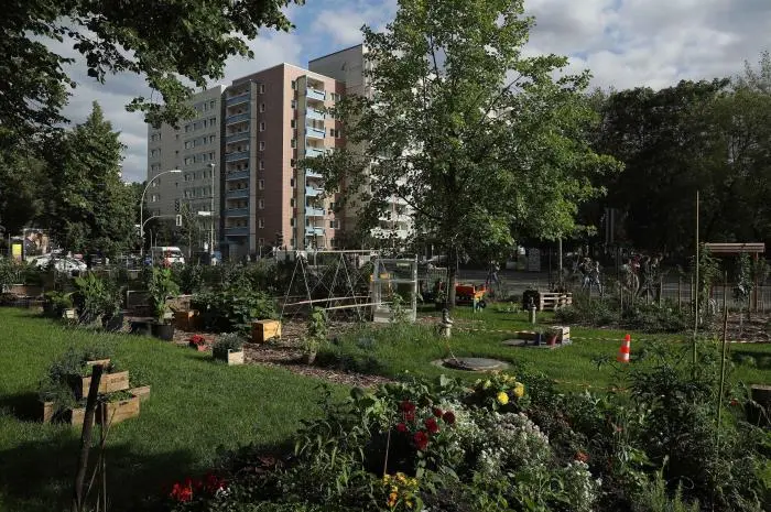 Urban Gardening, Growing Green Spaces in the City