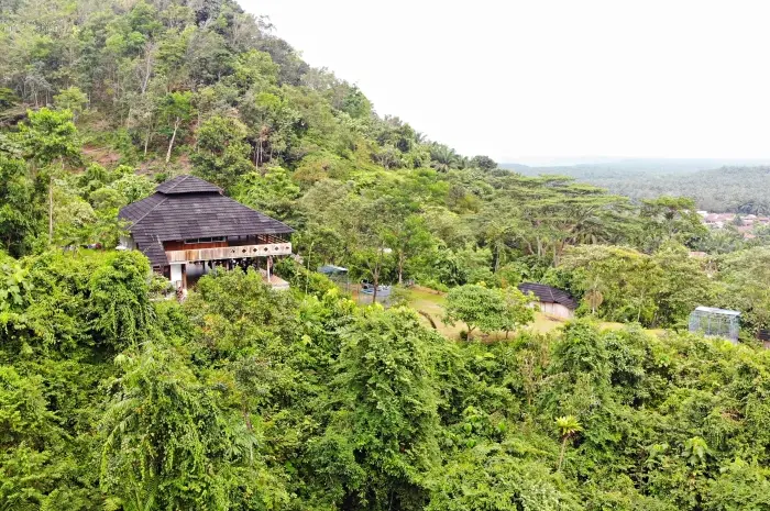 Lawang Hill, A Natural Paradise That Blends With the Sumatran Orangutan Habitat